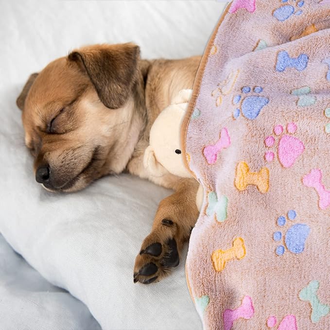 Dono 1 Pack 3 Dog Blankets for Large Dogs-60 * 50 in