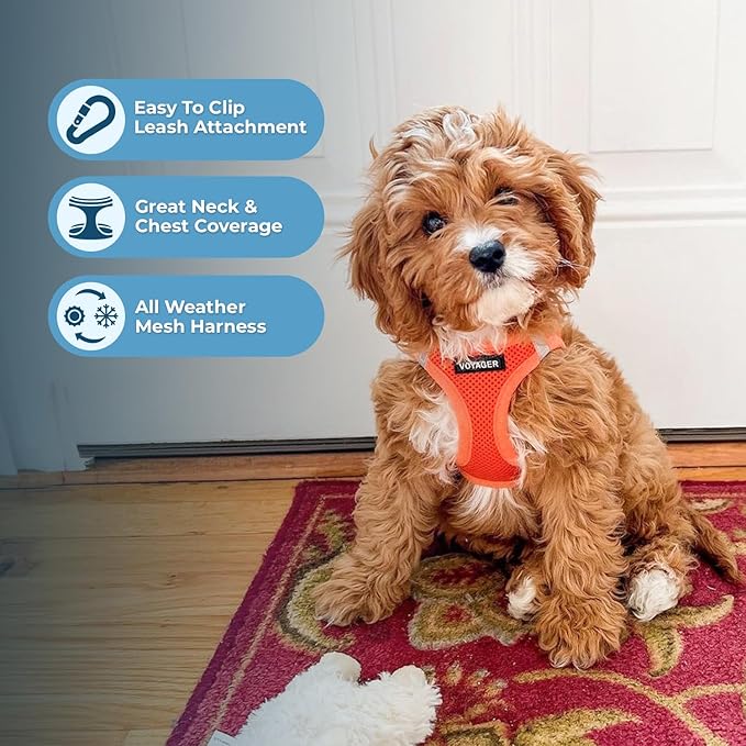 Voyager Step-in Air Dog Harness 18-20.5")