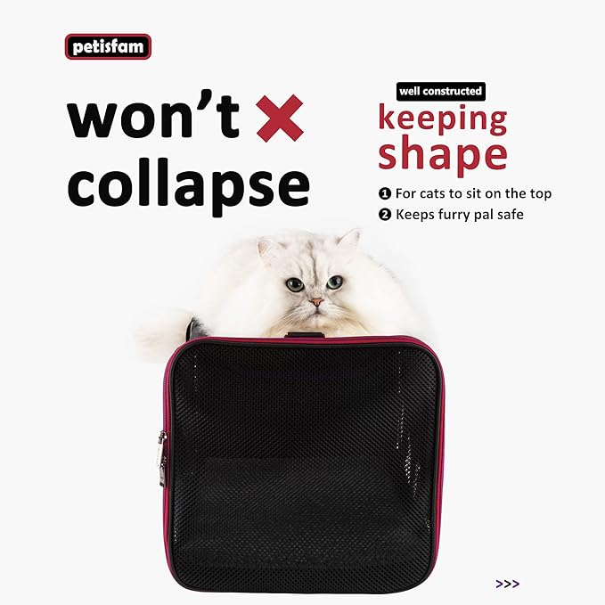 petisfam Soft Pet Carrier Bag for Medium or Large Cats (Large