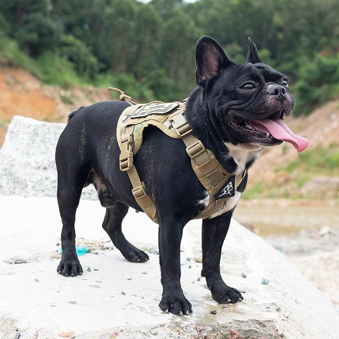Tactical Dog Harness Vest with Handle
