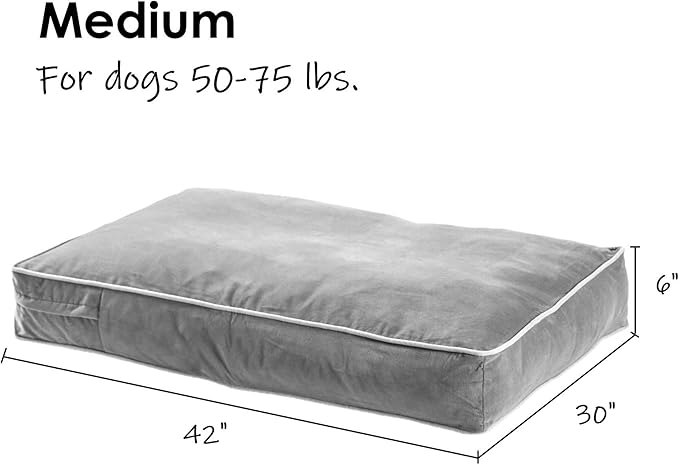 South Pine Porch Buddy Rectangle Pillow Style Dog Bed (42" x 30")