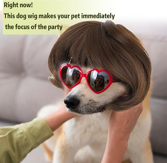 Funny Dog Cat Cosplay Wig Pet Wigs