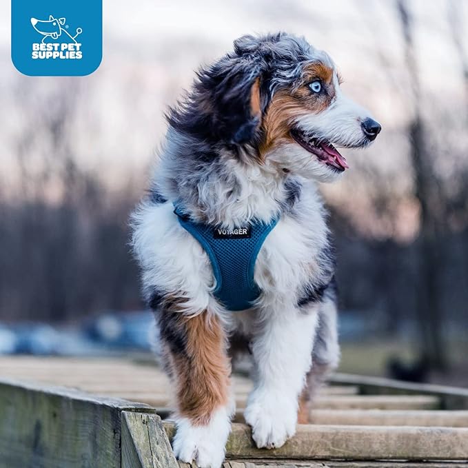 Voyager Step-in Air Dog Harness