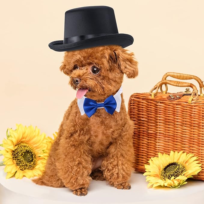 Yewong 2 Pieces Pet Formal Accessories Set