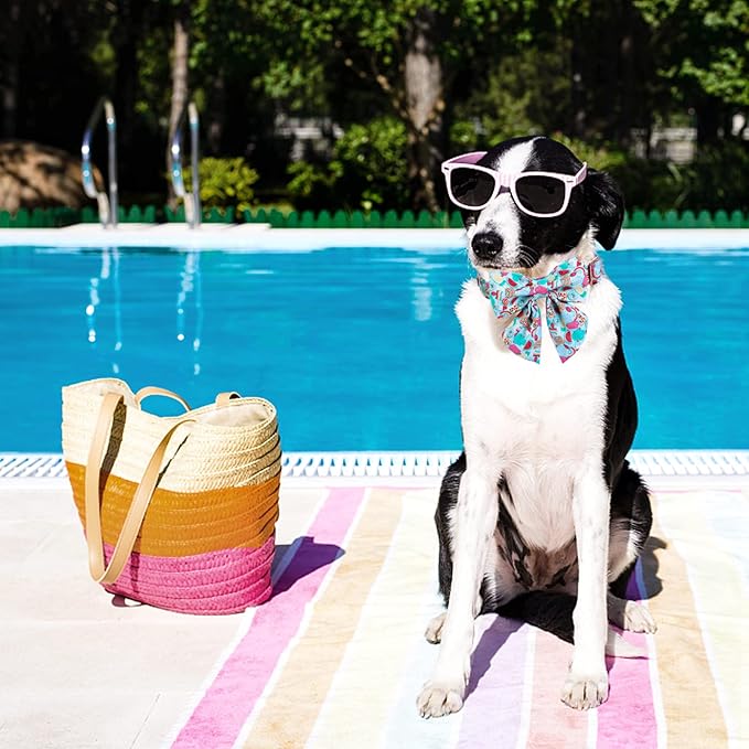 Maca Bates Summer Dog Collar with Fruit Icecream