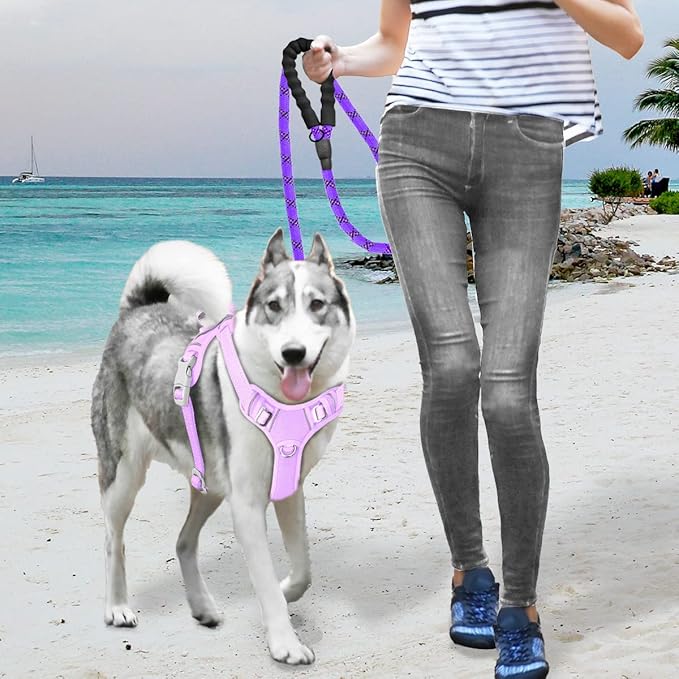 BARKBAY No Pull Dog Harness Large Step in Reflective Dog Harness with Front Clip and Easy Control Handle for Walking Training Running with ID tag Pocket(Violet Purple