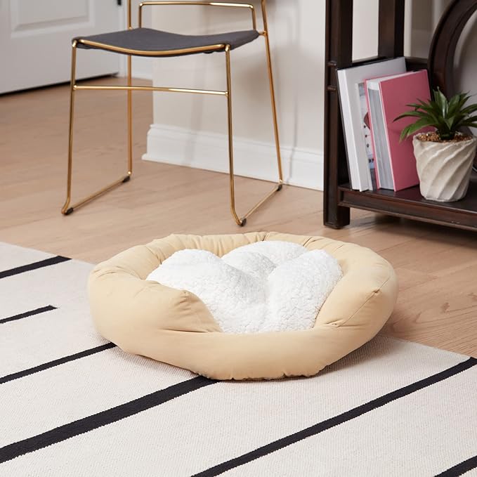 Maddie Donut Dog Bed with Removable Center Pillow (24" x 24")
