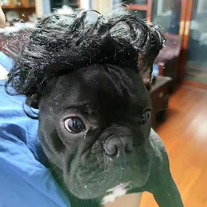 Funny Dog Wig Pet Costumes