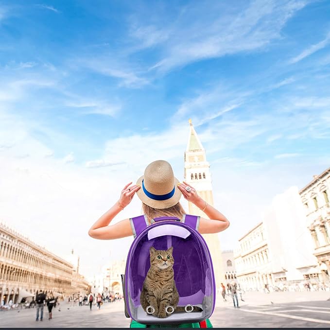 Henkelion Cat Backpack Carrier Bubble Carrying Bag