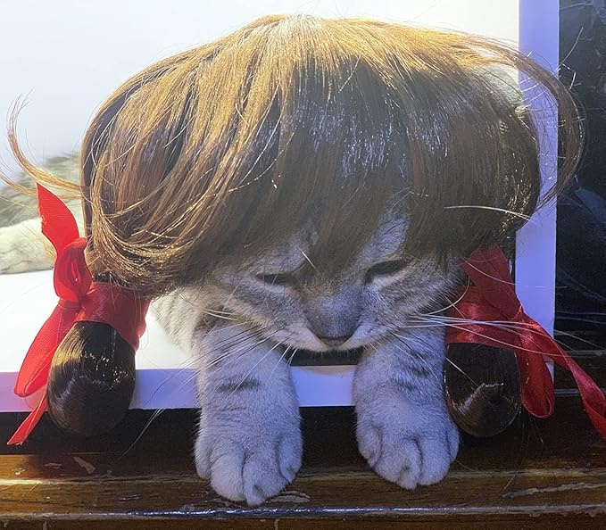 Dog Wig Pet Costumes