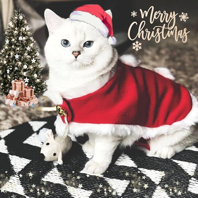 NAMSAN Pet Christmas Costume Cat Santa Outfit Small