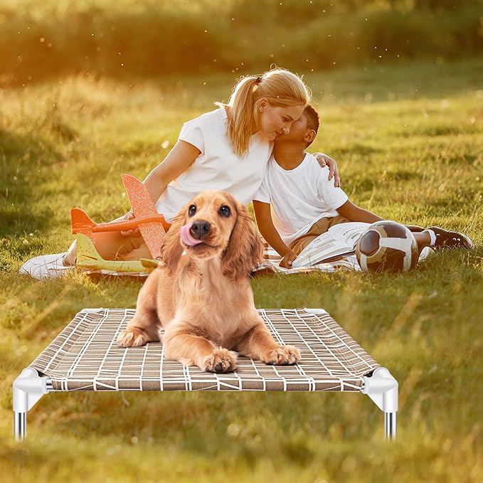 Elevated Dog Bed