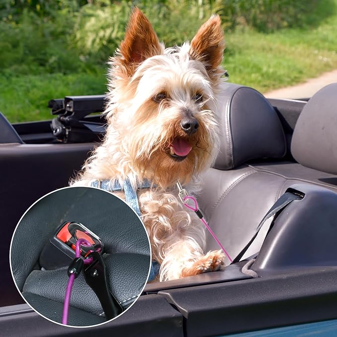 Dog Seatbelt Harness for Car 3-in-1 Dog
