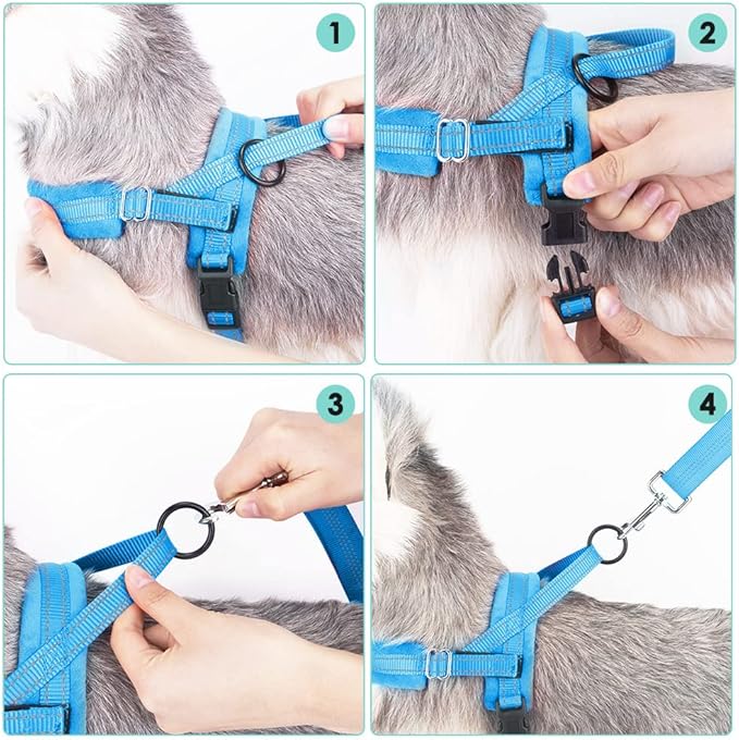 Lukovee Dog Harness and Leash Set 4ft Lightweight