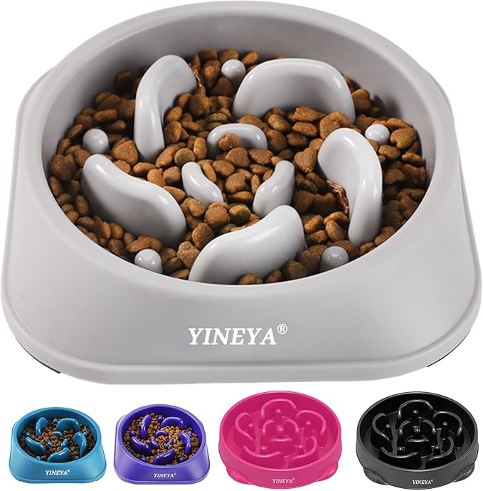 Dog Dishes for Small Dogs and Dog Dishes for Medium Dogs