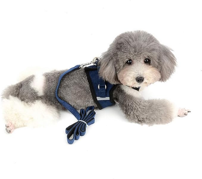 Zunea Small Dog Harness and Leash Set No