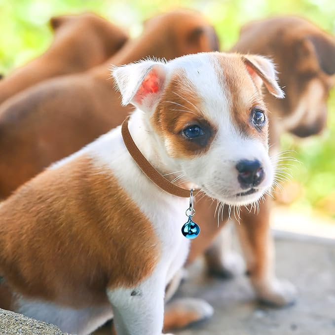 jiebor 24Pcs Tiny Kitten Collar Puppy Whelping Collars 24Pcs Bell