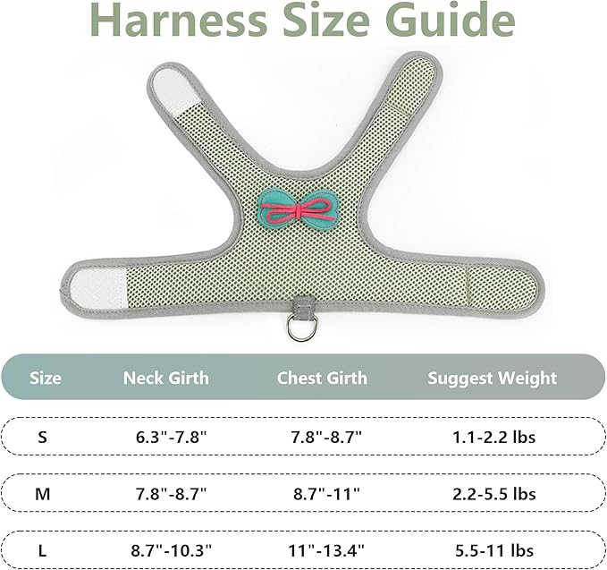 AIITLE Bunny Harness and Leash Set