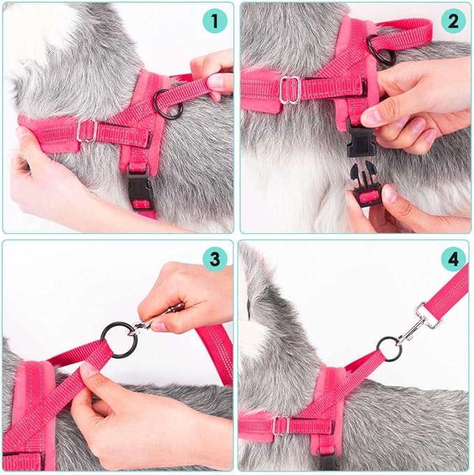 Lukovee Dog Harness and Leash Set 4ft Lightweight
