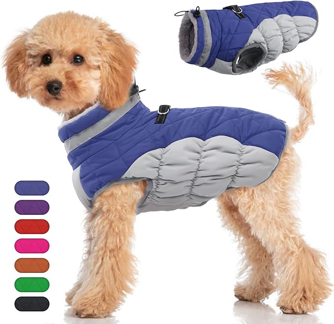 Dog Coat
