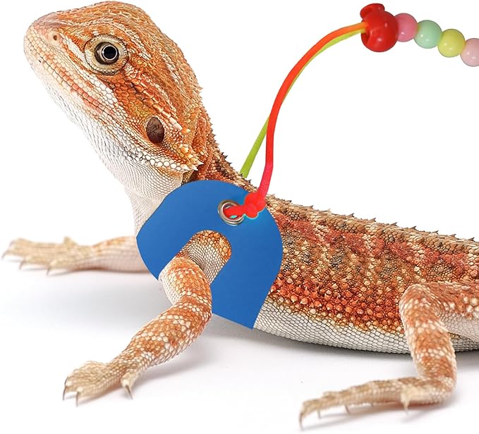 Bearded Dragon Leash & Harness 3 Size