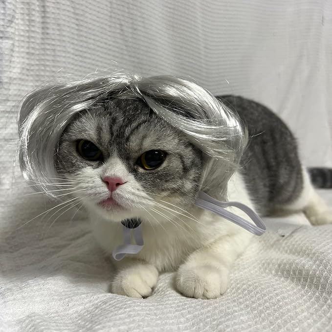 Funny Dog Cat Cosplay Wig