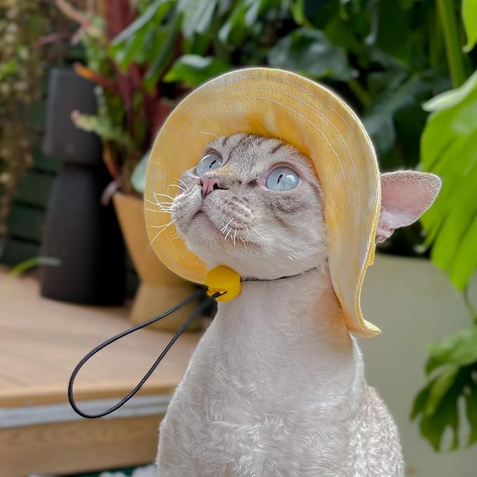 Pet hat with Ear Holes Sunscreen Baseball Cap Suitable for Small and Medium-Sized Dogs Outdoor Climbing hat in Summer Pet Products (Large