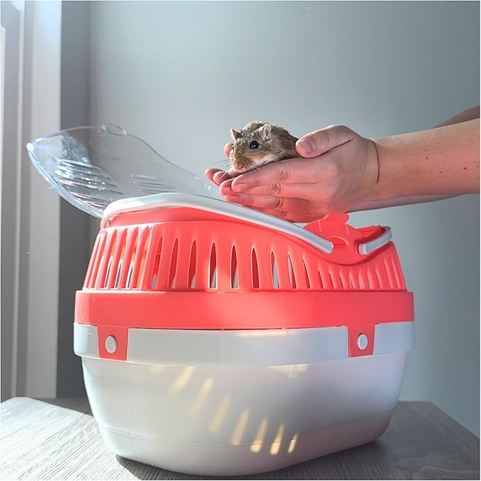 TRIXIE Pico Transport Crate, Small Pet Carrier, Portable Travel Carrier, for Small Pets, Hamsters, Guinea Pig, Lizards