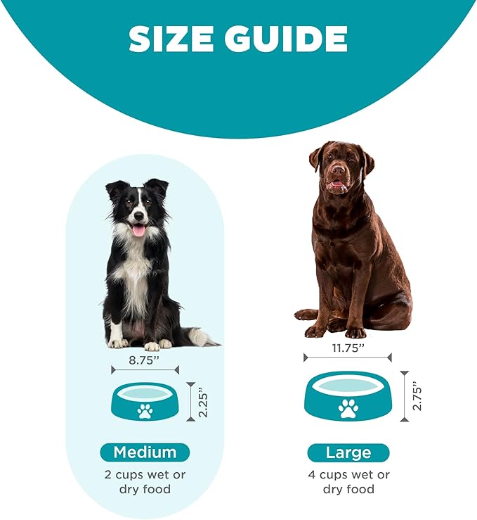 Outward Hound Fun Feeder Slo Bowl