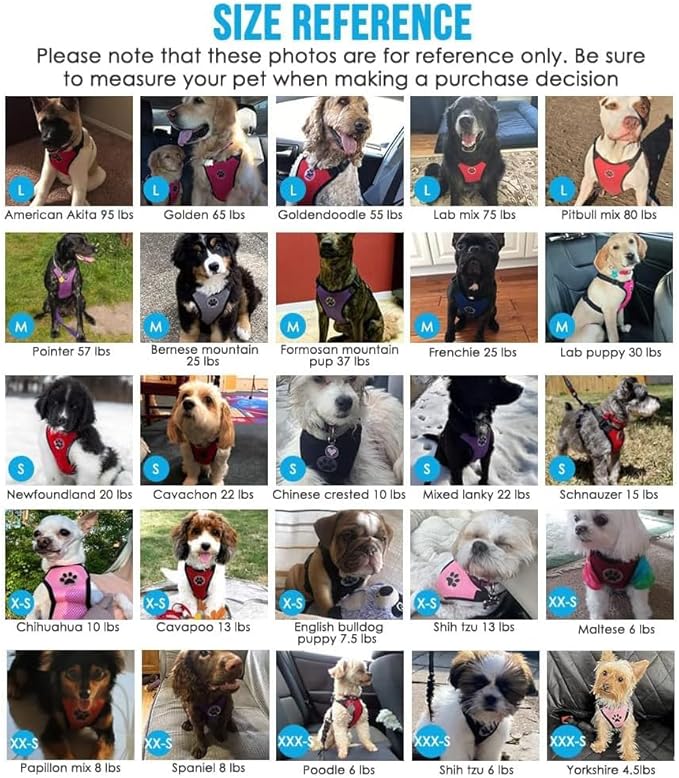 Dog Safety Vest Harness