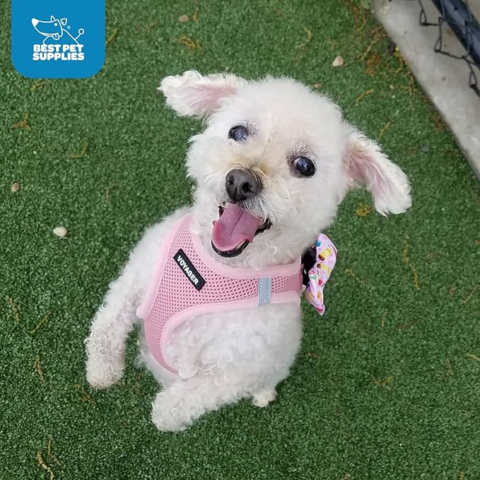 Voyager Step-in Air Dog Harness 18-20.5")