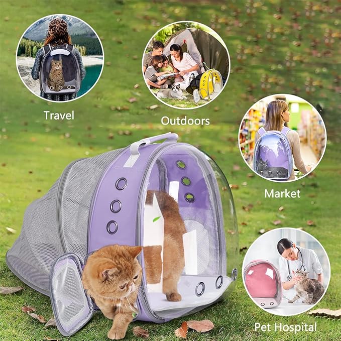 TOYSINTHEBOX Cat Backpack Carrier 13 Lbs