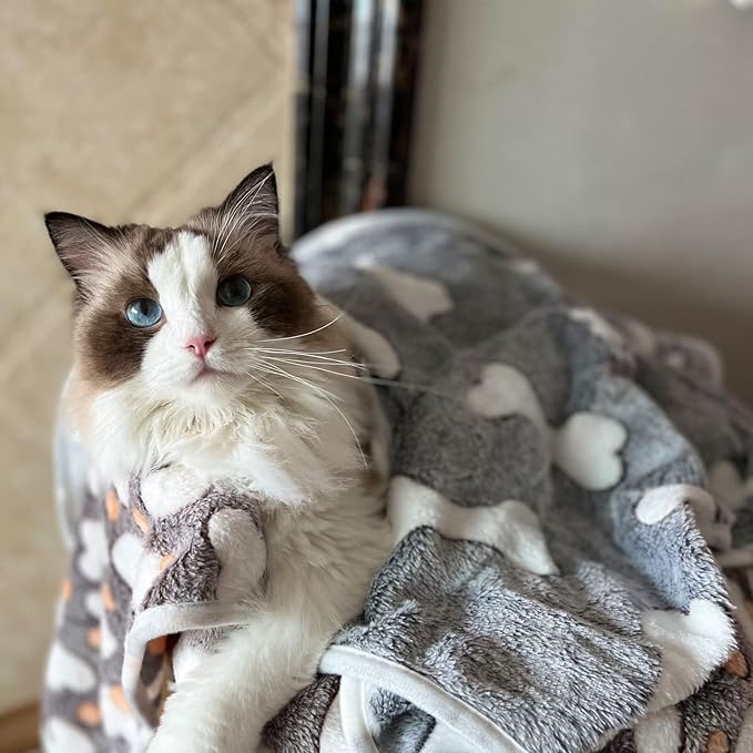 1 Pack 3 Puppy Blankets Super Soft Warm Sleep Mat Grey Cute Print Blanket Fluffy Fleece Pet Blanket Flannel Throw Dog Blankets for Small Dogs Puppy Dogs Fluffy Cats Bone-Small(23"x15")