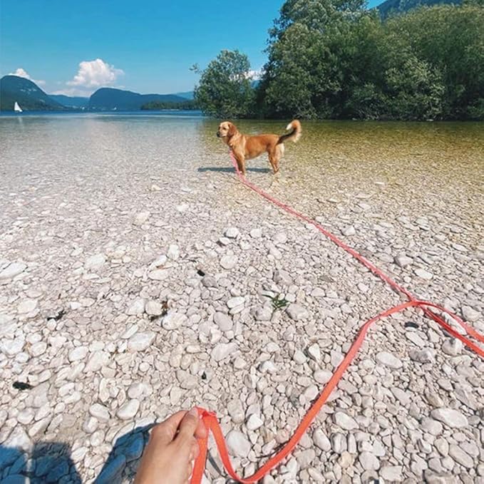 Long Leash Waterproof Training Longline Outdoor Dog Leash Great for Training