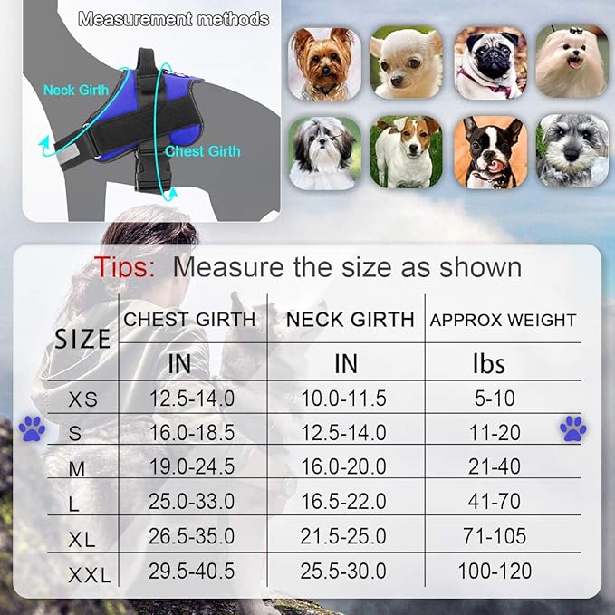 Bolux Dog Harness