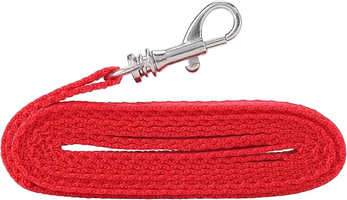 Adjustable Christmas Rabbit Harness and Leash Set