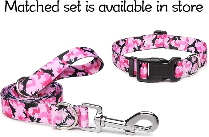 Adjustable Dog Collar with Patterns