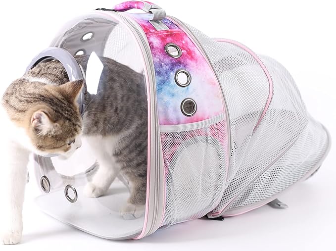 Cat Bubble Backpack Carrier