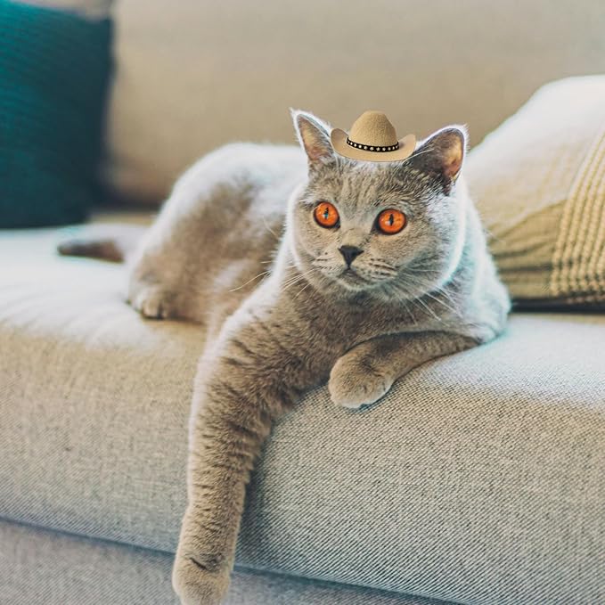 Dog Cowboy Hat Cat Cowboy Hat Mini Cowboy Hat for Dogs Cat Pet Cowboy Costume with Bandana Scarf Holiday Halloween Pet Party Decoration (khaki