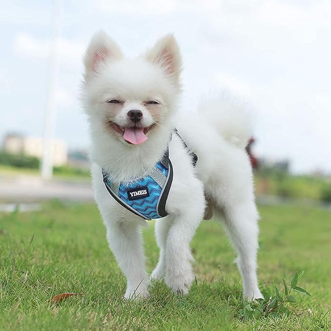 YIMEIS Dog Harness and Leash Set 1)
