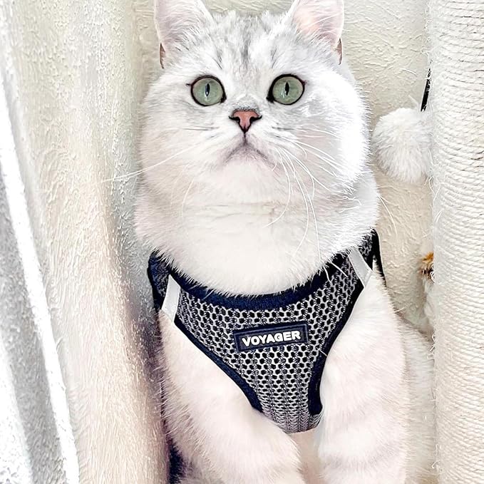 Voyager Step-in Air Dog Harness 2-Tone), L 18-20.5")