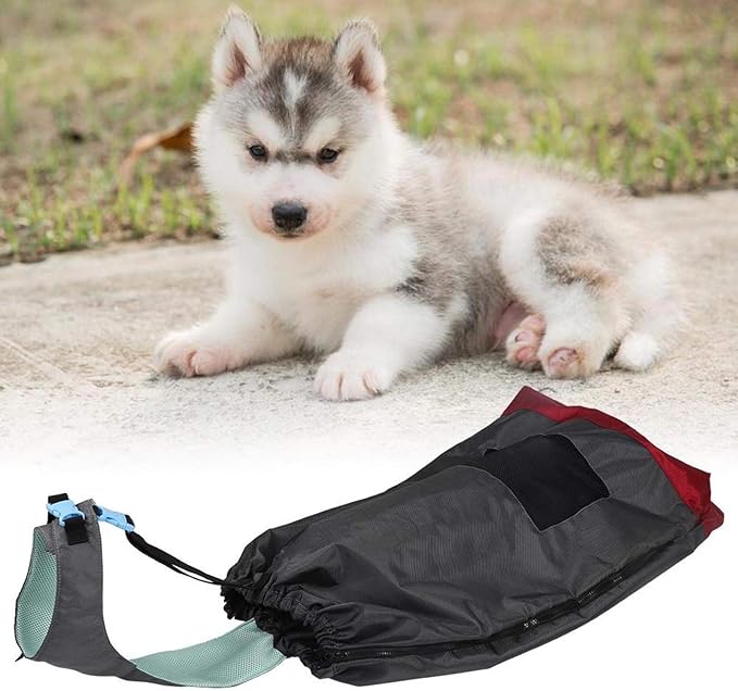 GLOGLOW Dog Drag Bag