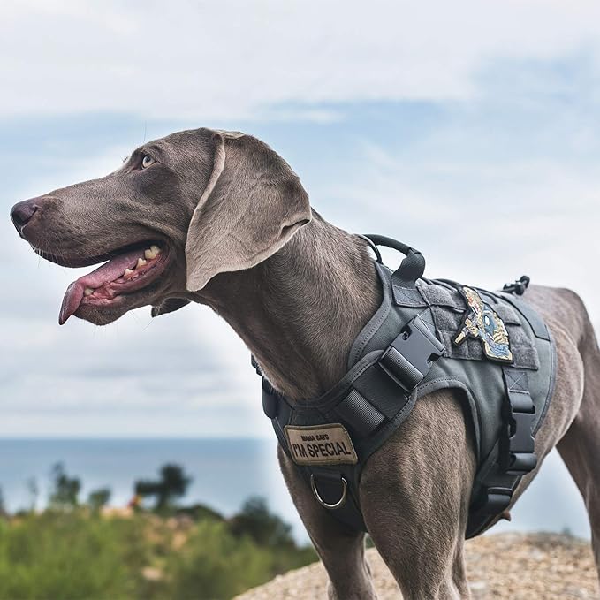Tactical Dog Training Vest No Pull Harness for Dogs