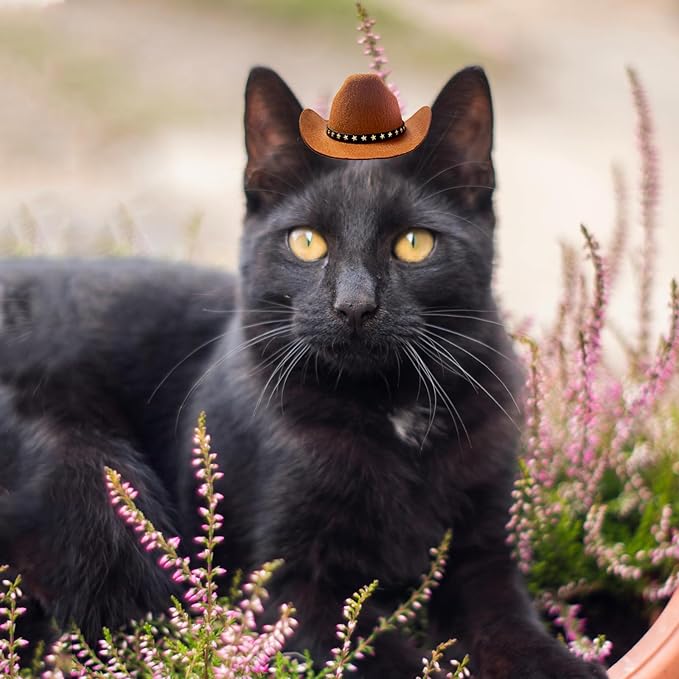Dog Cowboy Hat Cat Cowboy Hat Mini Cowboy Hat for Dogs Cat Pet Cowboy Costume with Bandana Scarf Holiday Halloween Pet Party Decoration (brown