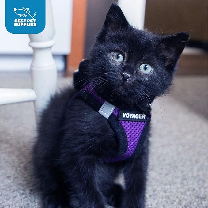 Voyager Step-in Air Dog Harness
