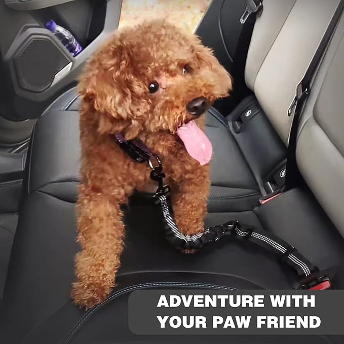 Dog Seat Belt (2 Piece/Black)