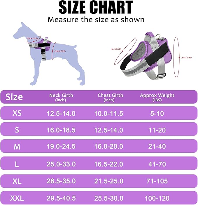 Bolux Dog Harness 1))