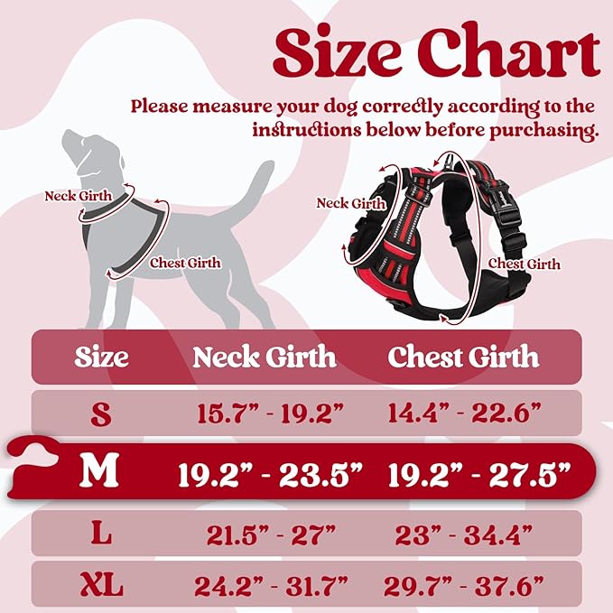 rabbitgoo Dog Harness Medium Sized 3 Buckles,