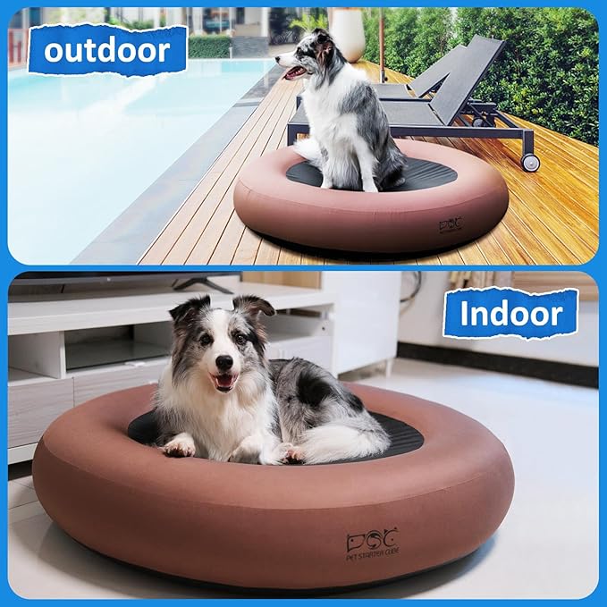 Elevated Dog Bed