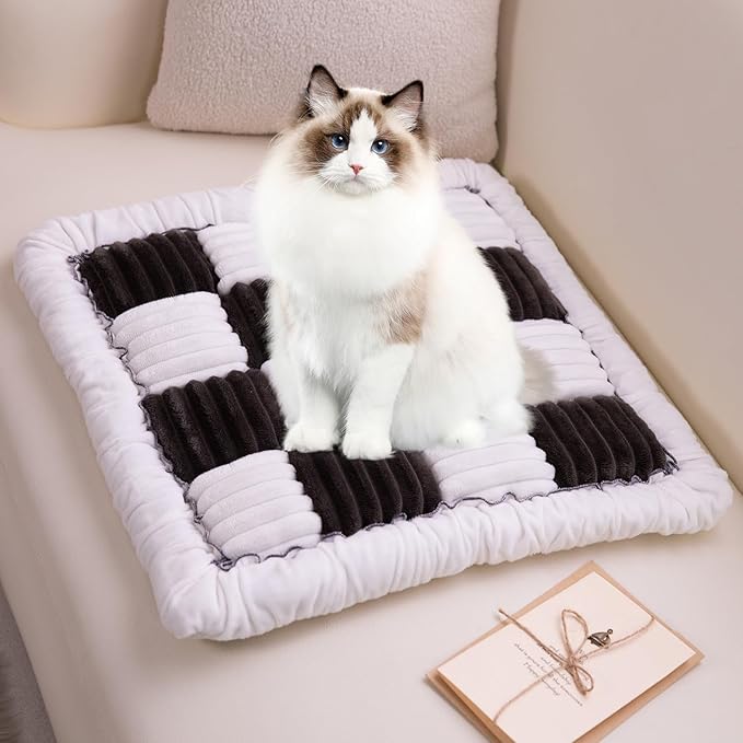 Pet Couch Cover